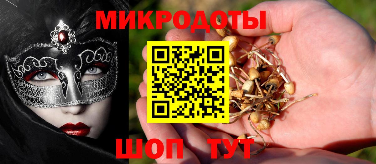 Псилоцибиновые грибы ЛСД Белово