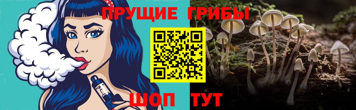 Псилоцибиновые грибы мицелий  Галлюциногенные грибы GOLDEN TEACHER  Белово  Вход с VPN 